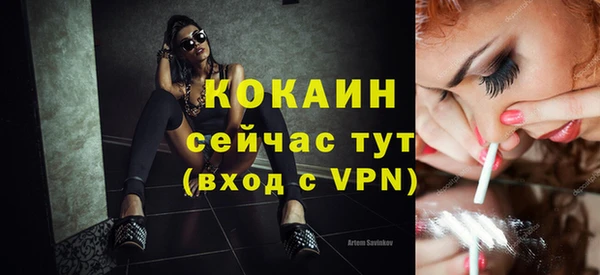 индика Куйбышев