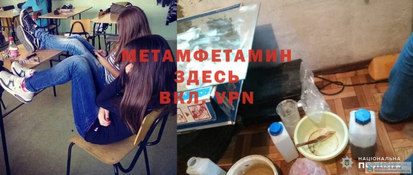 прущие грибы Кукмор