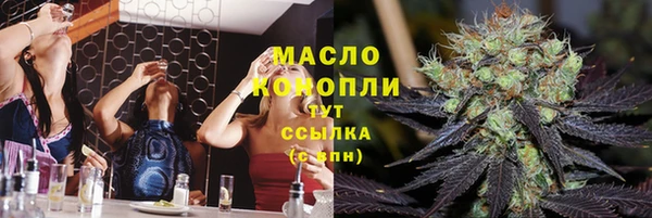 индика Куйбышев