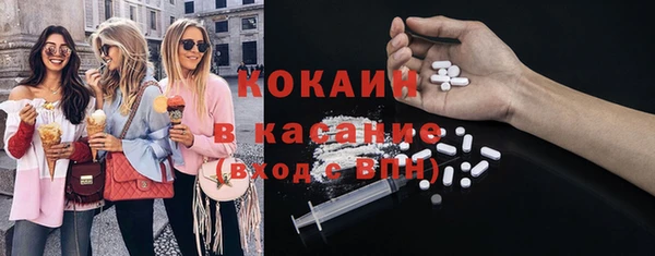 прущие грибы Кукмор