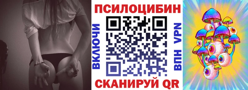 закладки  Нытва  Псилоцибиновые грибы Magic Shrooms 